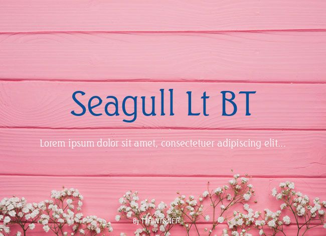 Seagull Lt BT example